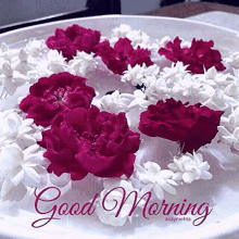 a good morning card with pink and white flowers in a bowl of water