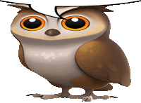 a brown and white owl with big orange eyes