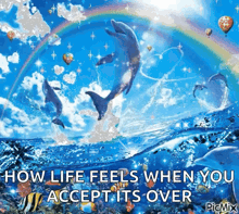 a picture of dolphins jumping out of the water with the caption how life feels when you accept it over