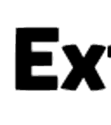 a black and white image of the letter e and x .