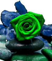 a green rose sits on top of a pile of green rocks