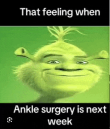 a shrek meme that says `` that feeling when ankle surgery is next week ``