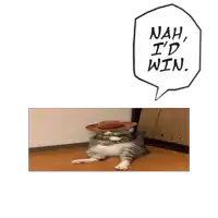 a cat wearing a cowboy hat with a speech bubble that says nah i 'd win