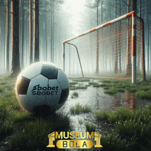 a soccer ball that says ' sbobet ' on it in front of a goal