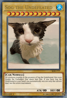 a card with a picture of a cat and the name sog the undefeated