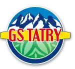 a logo for gs tairy with mountains and leaves