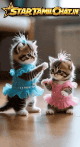 two kittens dressed up in blue and pink tutus are dancing in front of a star tamilchat.in logo