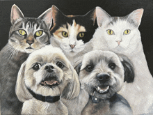 four cats and a dog are posing for a picture