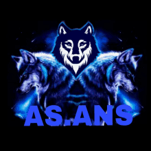 a picture of a wolf with the word aslans underneath it