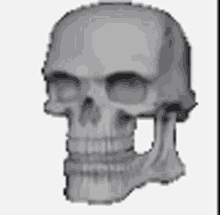 a skull with no teeth is shown in a pixel art style on a white background .