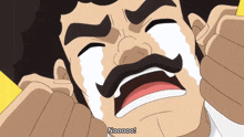 a cartoon of a man with a mustache crying with the words nooooo written below him