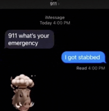 a screenshot of a text message that says 911 what 's your emergency