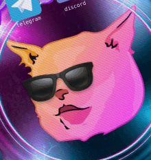 a cartoon cat wearing sunglasses and a telegram icon