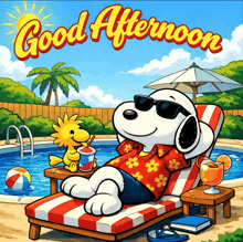 a cartoon of snoopy and woodstock by a pool with the words good afternoon above them