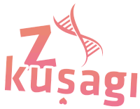 a pink and white logo for z kusagi with a heart in the middle