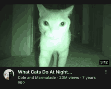 a video titled what cats do at night has 23m views and 7 years ago