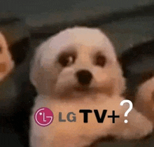 a small white dog is sitting in front of a lg tv + logo .