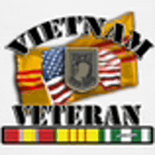 a vietnam veteran t-shirt with an american flag and ribbons