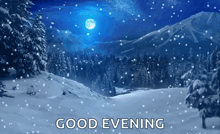 a snowy landscape with the words good evening written on it