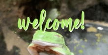 a green frog with the word welcome behind it