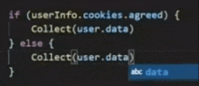 a screen shot of a program that says if ( user info.cookies.agreed )