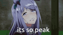 a crying anime girl with the words `` it 's so peak '' written below her