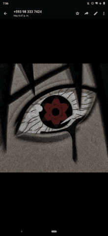 a drawing of a person 's eye with the number 593 98 333 7424