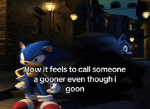 a picture of sonic the hedgehog with the caption how it feels to call someone a gooner