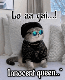 a cat wearing sunglasses and a hat with the words lo aa gai innocent queen below it