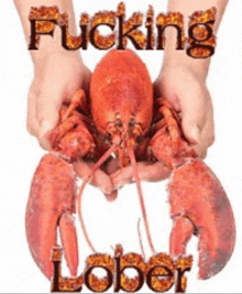 a person is holding a lobster with the words fucking lobster on it