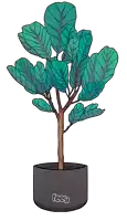 a drawing of a tree in a black pot with the word feey on the bottom