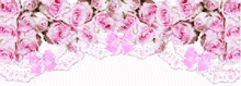 a bunch of pink roses are surrounded by white lace on a white background .