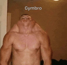 a man without a shirt is standing in front of a mirror with a caption that reads gymbro .