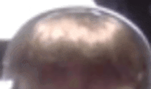 a close up of a person 's head with a blurred background .