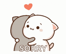 a cartoon of a cat hugging another cat with the word sorry written on it