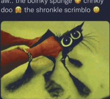 a picture of a cat being held by a person with the words doo the shronkle scrimblo on the bottom