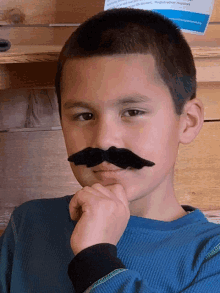 a boy wearing a fake mustache looks at the camera