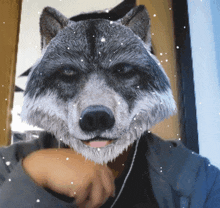 a person wearing a wolf mask with snow falling on them