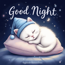 a picture of a cat sleeping on a pillow with the words good night written above it
