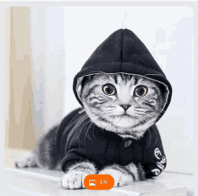 a cat is wearing a black hoodie with the number 1/6 on it