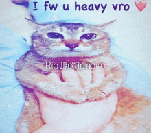 a picture of a cat with the words i fw u heavy vro written above it