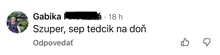 a screenshot of a facebook post with the name gabika