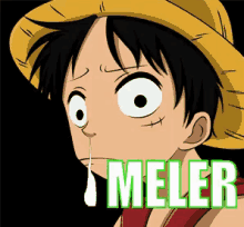 monkey d luffy from one piece is crying with the word " melter " above him