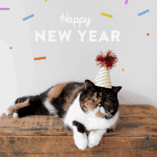 a calico cat wearing a party hat is laying on a wooden table with the words happy new year behind it