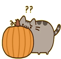 a cartoon cat with a pumpkin and a question mark