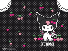 a picture of a cartoon character with the name kuromi