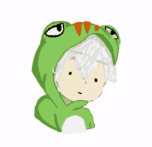 a cartoon of a person wearing a green frog hoodie