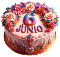 a pink cake with the number 6 and the name junio on it