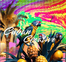 a colorful painting of parrots and pineapples with cuban creative written on the bottom right