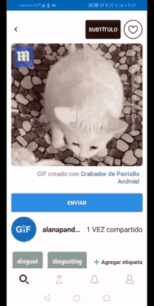 a phone screen shows a gif of a cat laying on the ground